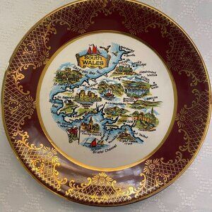 South Wales Falcon Ware Decorative Map Plate